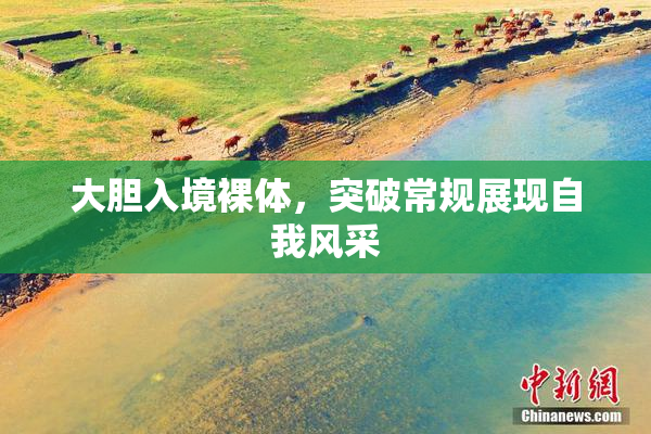 大胆入境裸体，突破常规展现自我风采