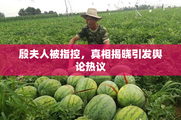 殷夫人被指控，真相揭晓引发舆论热议