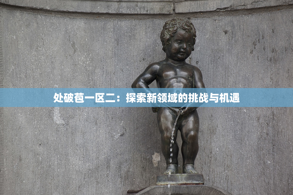 处破苞一区二：探索新领域的挑战与机遇