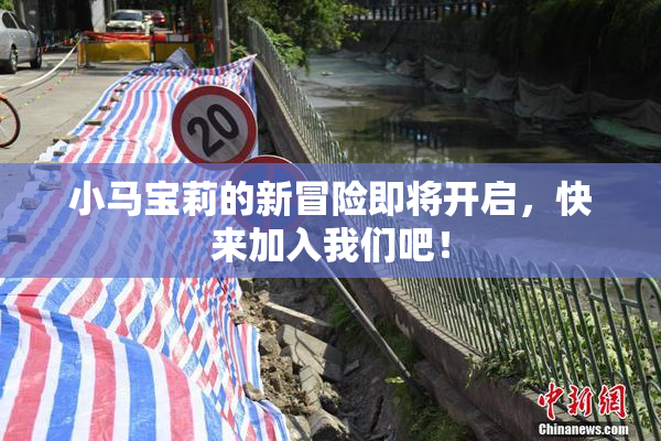 小马宝莉的新冒险即将开启，快来加入我们吧！