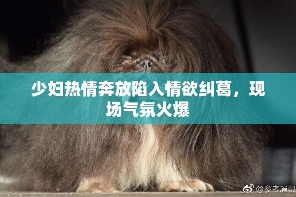 少妇热情奔放陷入情欲纠葛，现场气氛火爆