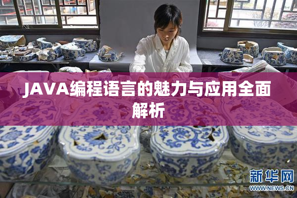 JAVA编程语言的魅力与应用全面解析