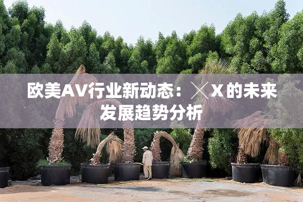 欧美AV行业新动态：╳Ⅹ的未来发展趋势分析