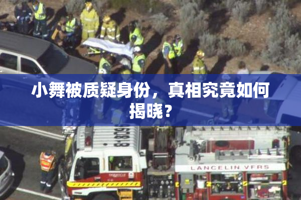 小舞被质疑身份，真相究竟如何揭晓？