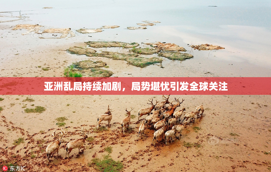 亚洲乱局持续加剧，局势堪忧引发全球关注