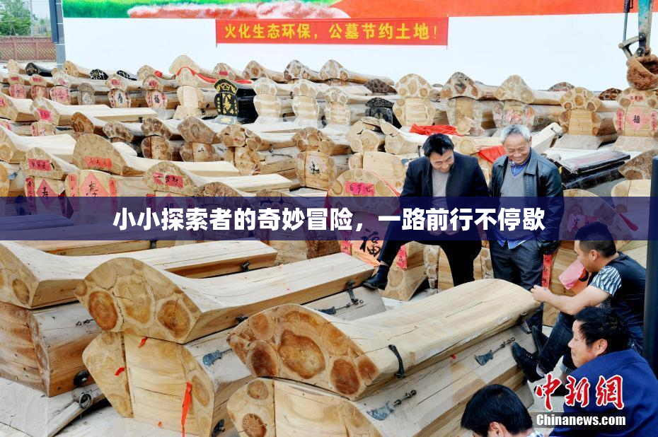 小小探索者的奇妙冒险，一路前行不停歇