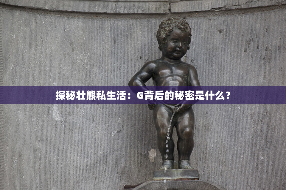 探秘壮熊私生活：G背后的秘密是什么？