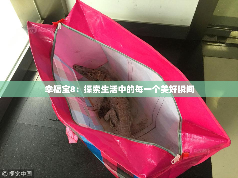 幸福宝8：探索生活中的每一个美好瞬间