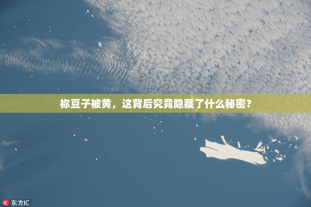 祢豆子被黄，这背后究竟隐藏了什么秘密？