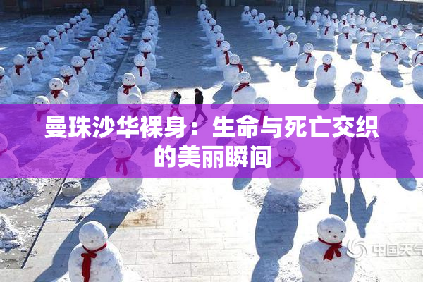 曼珠沙华裸身：生命与死亡交织的美丽瞬间