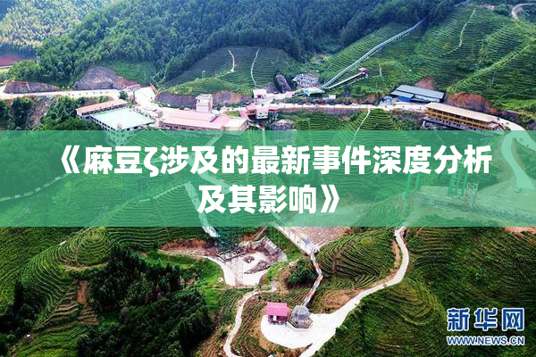 《麻豆ζ涉及的最新事件深度分析及其影响》