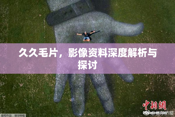 久久毛片，影像资料深度解析与探讨