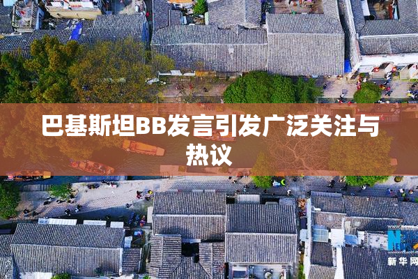 巴基斯坦BB发言引发广泛关注与热议