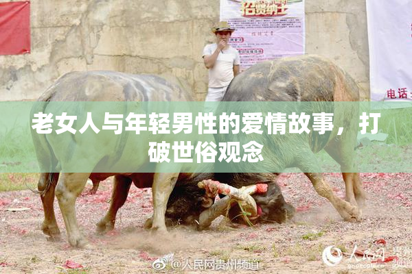 老女人与年轻男性的爱情故事，打破世俗观念