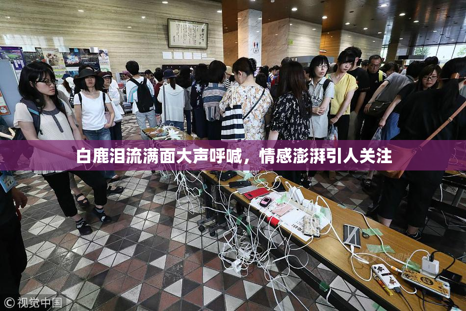 白鹿泪流满面大声呼喊，情感澎湃引人关注
