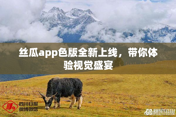 丝瓜app色版全新上线，带你体验视觉盛宴