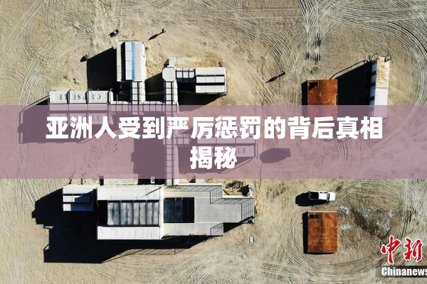 亚洲人受到严厉惩罚的背后真相揭秘