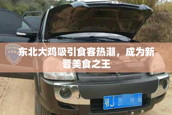 东北大鸡吸引食客热潮，成为新晋美食之王