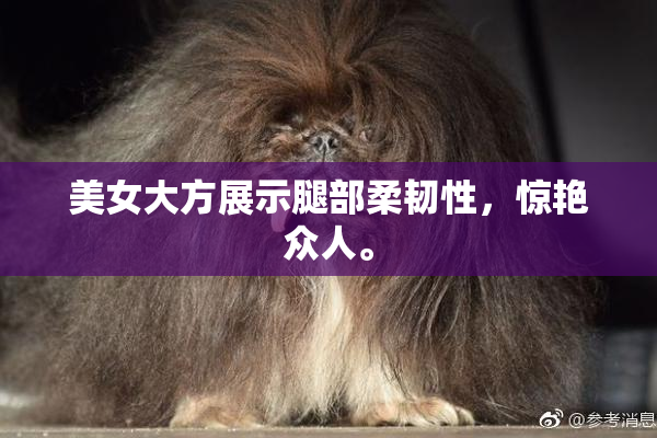 美女大方展示腿部柔韧性，惊艳众人。