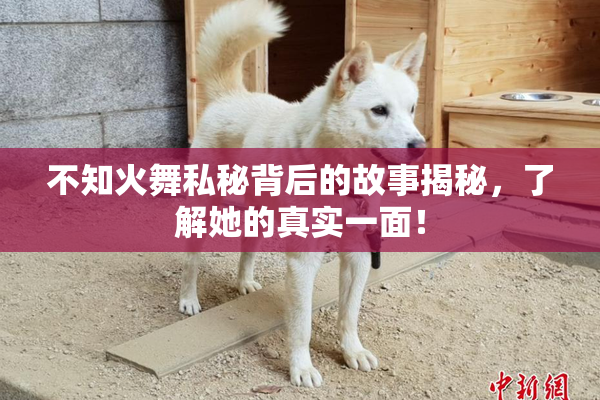 不知火舞私秘背后的故事揭秘，了解她的真实一面！
