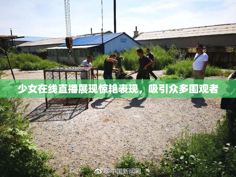 少女在线直播展现惊艳表现，吸引众多围观者