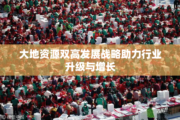 大地资源双高发展战略助力行业升级与增长