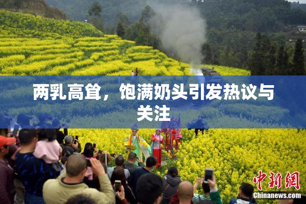 两乳高耸，饱满奶头引发热议与关注