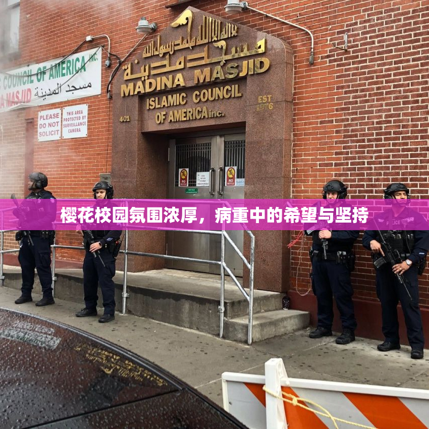 樱花校园氛围浓厚，病重中的希望与坚持