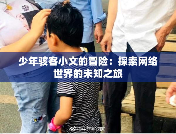 少年骇客小文的冒险：探索网络世界的未知之旅