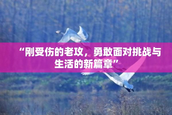 “刚受伤的老攻，勇敢面对挑战与生活的新篇章”