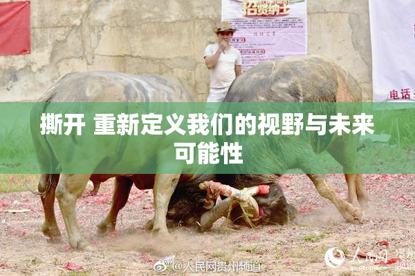 撕开 重新定义我们的视野与未来可能性
