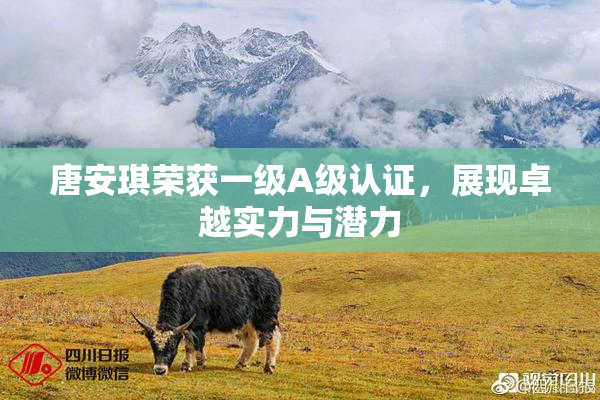 唐安琪荣获一级A级认证，展现卓越实力与潜力