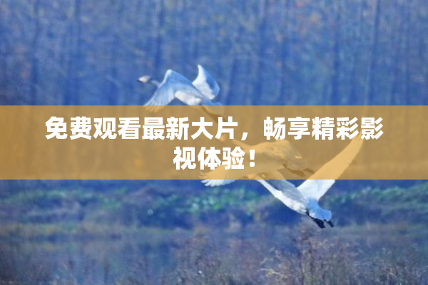 免费观看最新大片，畅享精彩影视体验！