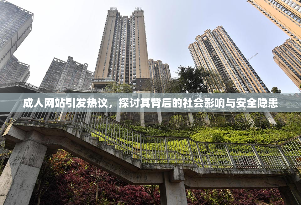成人网站引发热议，探讨其背后的社会影响与安全隐患