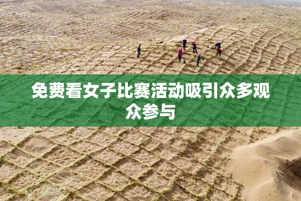 免费看女子比赛活动吸引众多观众参与