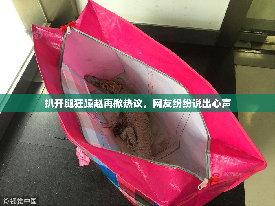 扒开腿狂躁赵再掀热议，网友纷纷说出心声