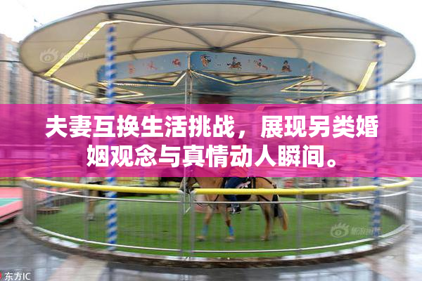 夫妻互换生活挑战，展现另类婚姻观念与真情动人瞬间。