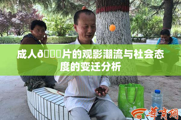 成人🔞片的观影潮流与社会态度的变迁分析