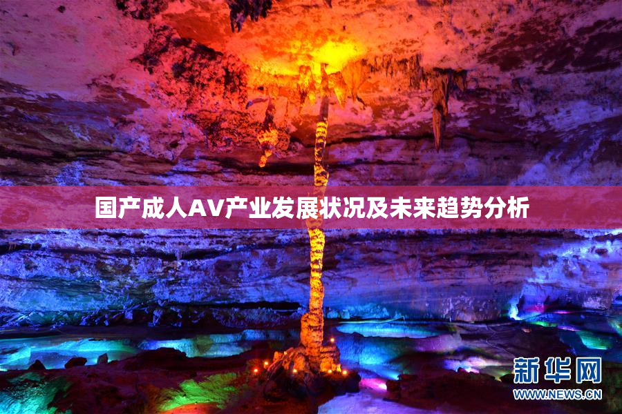 国产成人AV产业发展状况及未来趋势分析