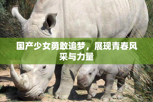国产少女勇敢追梦，展现青春风采与力量
