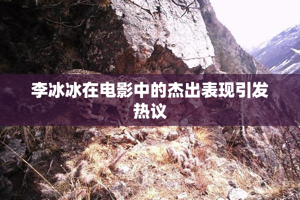 李冰冰在电影中的杰出表现引发热议