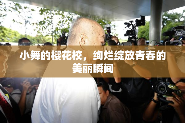 小舞的樱花校，绚烂绽放青春的美丽瞬间