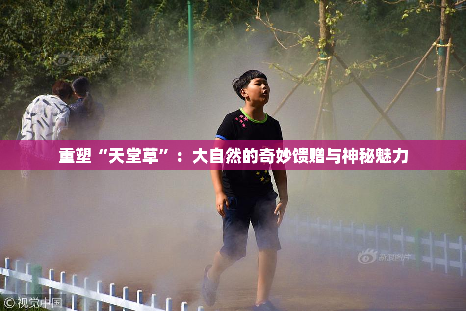 重塑“天堂草”：大自然的奇妙馈赠与神秘魅力