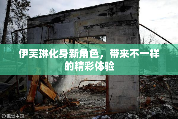 伊芙琳化身新角色，带来不一样的精彩体验