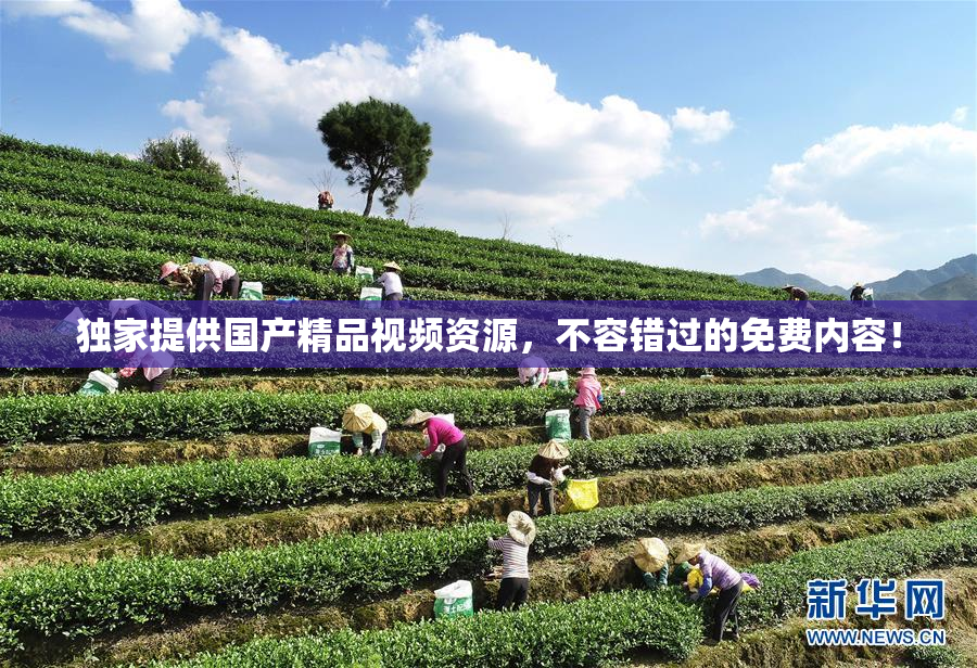 独家提供国产精品视频资源，不容错过的免费内容！