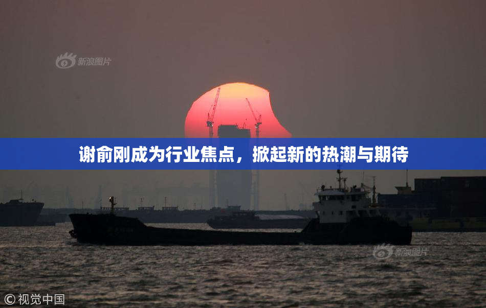 谢俞刚成为行业焦点，掀起新的热潮与期待