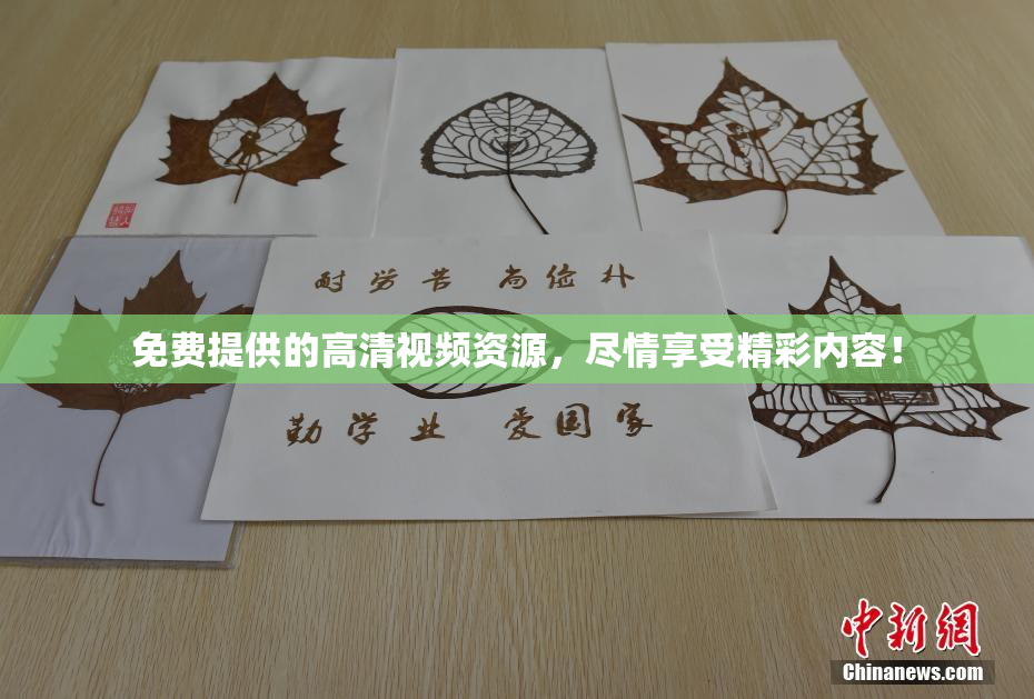 免费提供的高清视频资源，尽情享受精彩内容！