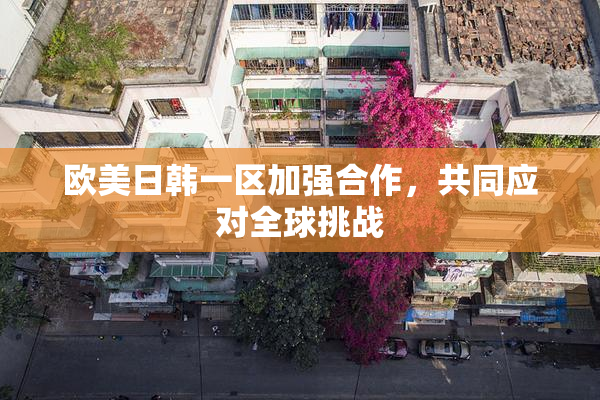 欧美日韩一区加强合作，共同应对全球挑战