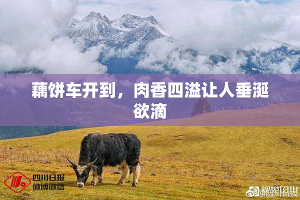 藕饼车开到，肉香四溢让人垂涎欲滴