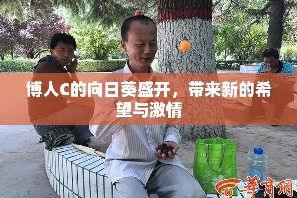 博人C的向日葵盛开，带来新的希望与激情